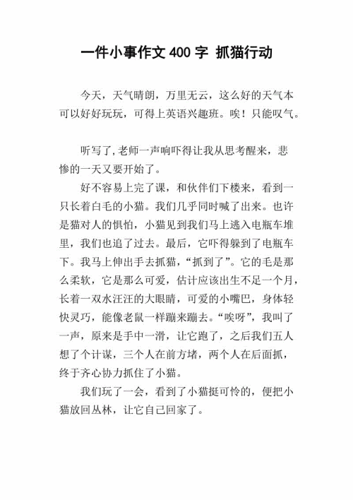 关于学校的作文：学校的猫和学校树_800字