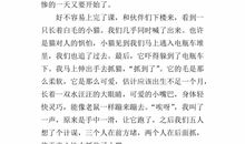 关于学校的作文：学校的猫和学校的树_800字