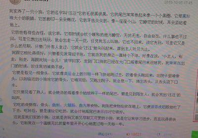 第五年：三个省级小学陈嘉怡
