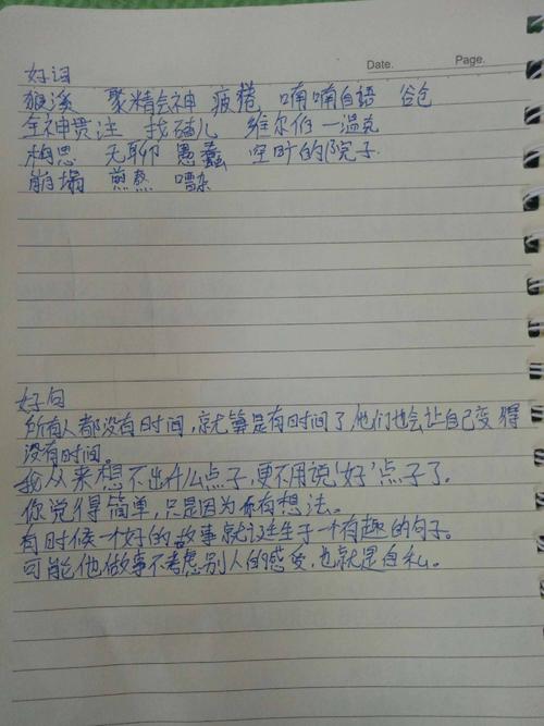 第一个ace论文：让书提取_500字