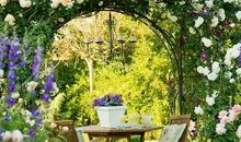 当野花开满的时候_250字