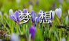 梦想是人生最甜的果子