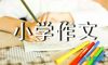 小学作文细节描写方法指导