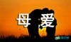 母爱六年级作文