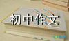 初中作文400字