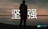 坚强的同义词