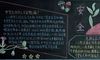 安全常识黑板报内容