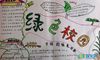 保护校园环境的手抄报