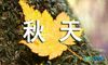 描写秋天的唯美散文