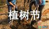 3.12植树节环保标语