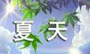 描写夏天景象的诗句