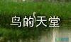 鸟的天堂导游词作文400字
