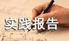 园林绿化社会实践报告