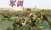 大学生军训的自我鉴定
