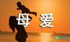 “母爱”作文
