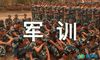 新生军训开训典礼学生代表发言稿