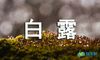 形容白露节气的句子