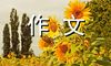 谈理想，谈人生 关于人生作文300字