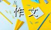 风景作文700字