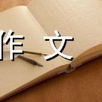 理想，没有错误，平静，没有错误，700字