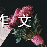 爱饺子构成800字