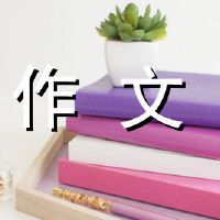 活泼的篮球场景描述