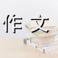 制作汤圆形组成600字