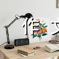 永恒的论文800字