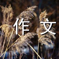 Pursue spring footprint composition 800 words