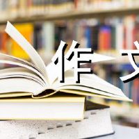 我们的游戏组成600字