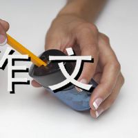 Ice Snow Park Composition 800 words