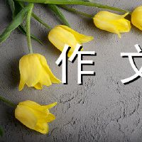 Qingming Festival sweeps the martyrs tomb composition 700 words