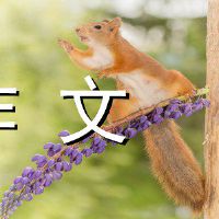 想象未来的成分700字