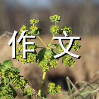 木头组成500字