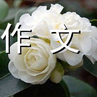 童年天堂构成800字