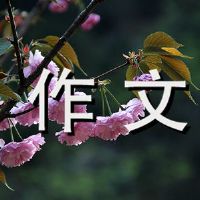 青年组成500字