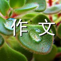 手机与组合物的组成响起。