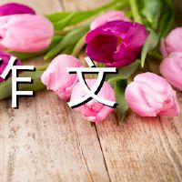 综合小阳追逐梦想增长主题散文800字