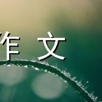 美味的硅橙色成分400字