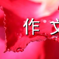 在阳光下的小路上有800字