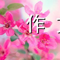 你的礼物点燃了我的中学入学考试组成