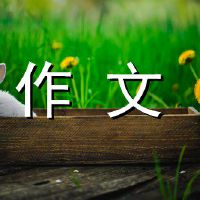 向上手势组成1000字