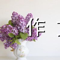 樱花雨组成600字