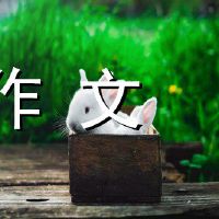 童年内存构成600字