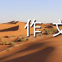 让我们拍一张照片并写下文本。