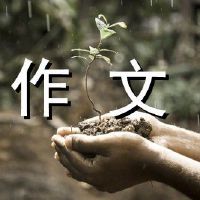 社区的冬季构成300字