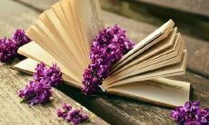 500字作文：描述我对奥特曼玩具的热爱和收藏经历