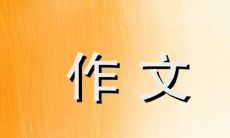 深入探讨乌龟冬眠现象——一篇500字的作文