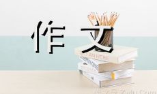 探究重庆火锅的历史、文化与美食文化影响——一篇500字的作文