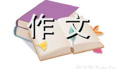 一场委婉绵长却不平凡的相遇：冰墩墩与雪容融写作文500字